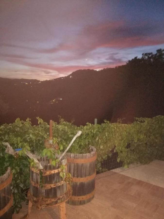 In Campagna Guest House Специя Екстериор снимка